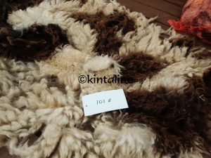 wool sorting fleeces-wm