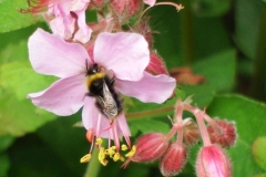 33664702_1750821664957133_4232380916598571008_n