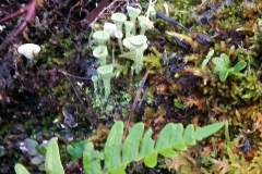 47467689_2012337525472211_4148544138528161792_o