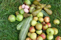 IMG_20180913_192136_831