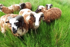 boys following me DSCF3800