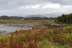 seaweed collecting 20180913_140747