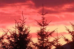 sunset header DSCF2220