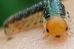 42157333_1911790722193559_1366112140603162624_n