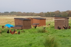 layer houses moved 20181011_115617