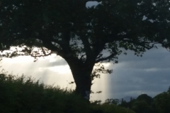 home light 20170623_202156
