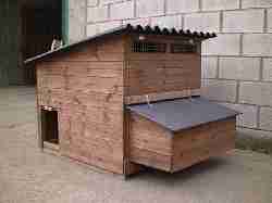 Oxford Chicken house for taller breeds